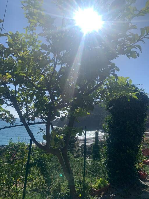 Cozy Beach House With Nice Garden, Basic Feel Apartamento Bonassola Exterior foto