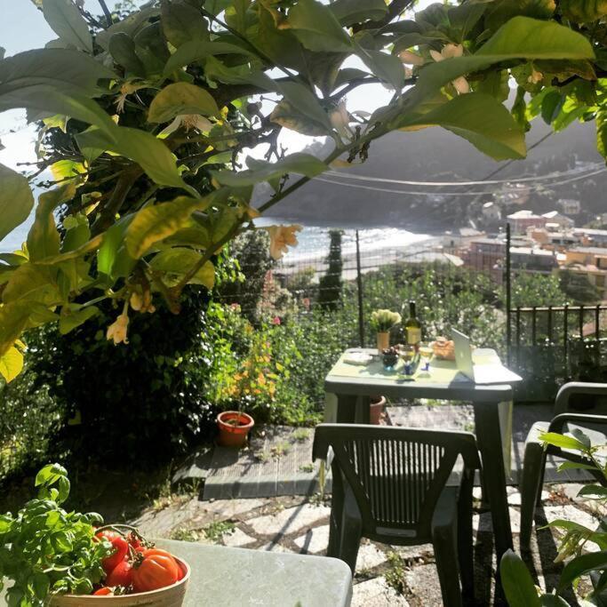 Cozy Beach House With Nice Garden, Basic Feel Apartamento Bonassola Exterior foto