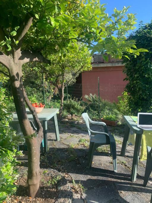 Cozy Beach House With Nice Garden, Basic Feel Apartamento Bonassola Exterior foto